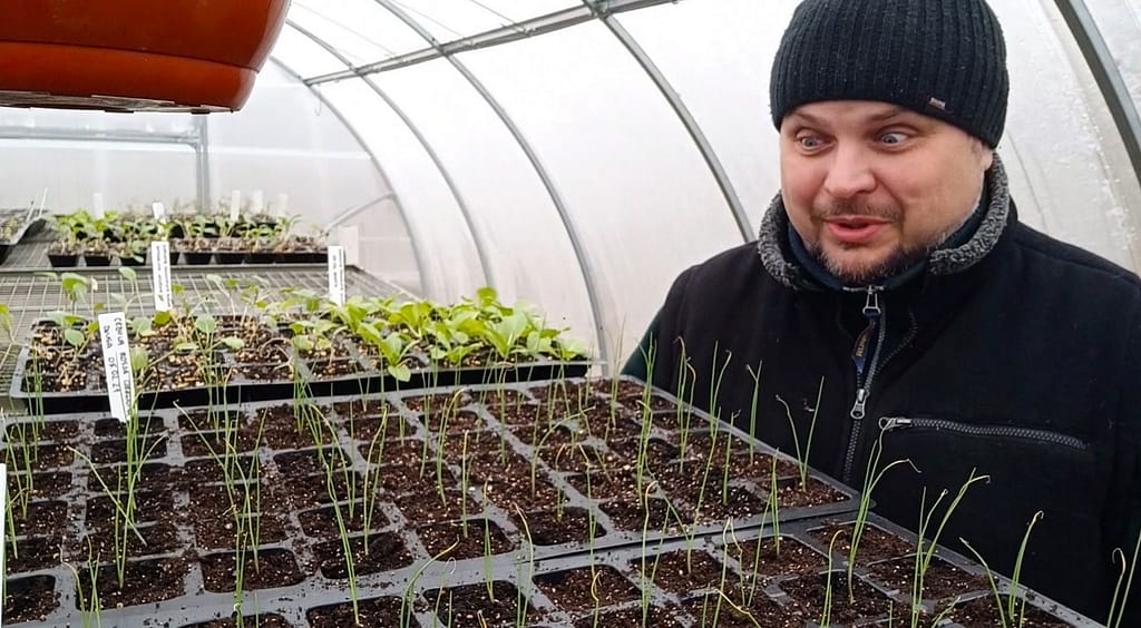 O NAS Adam przy wysiewach warzyw w szklarni – tacki rozsadowe