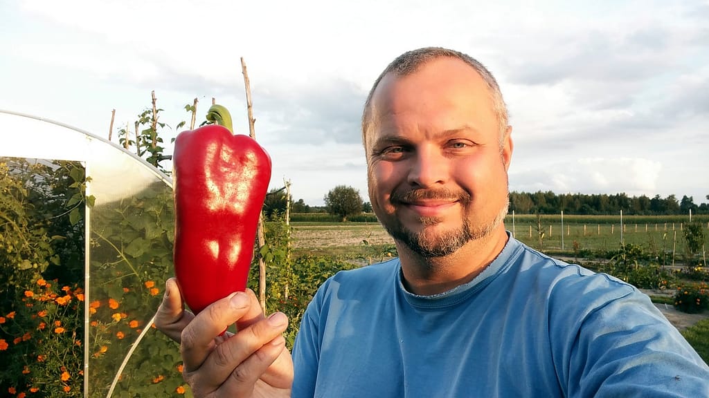 O NAS Adam - Facet Od Szklarni - prezentuje dużą paprykę wyhodowaną w szklarni