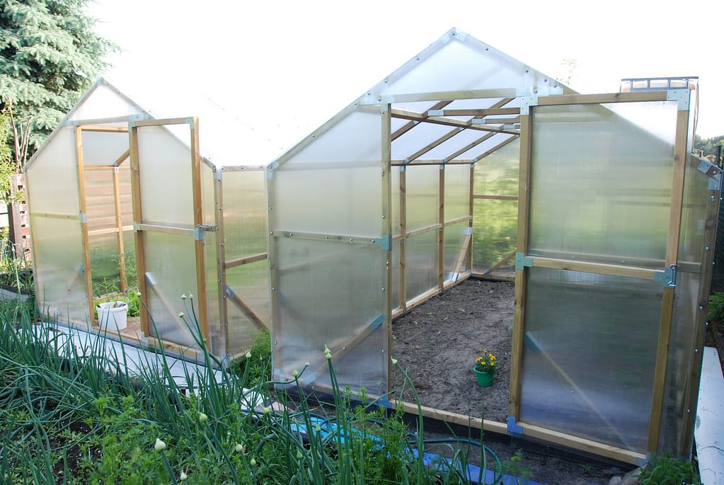 SZKLARNIE DREWNIANE Drewniana szklarnia – wnętrze szklarni z otwartymi drzwiami i miejscem do uprawy