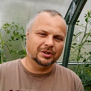 O NAS Adam – Facet od Szklarni, ogrodnik stojący w szklarni przy pomidorach